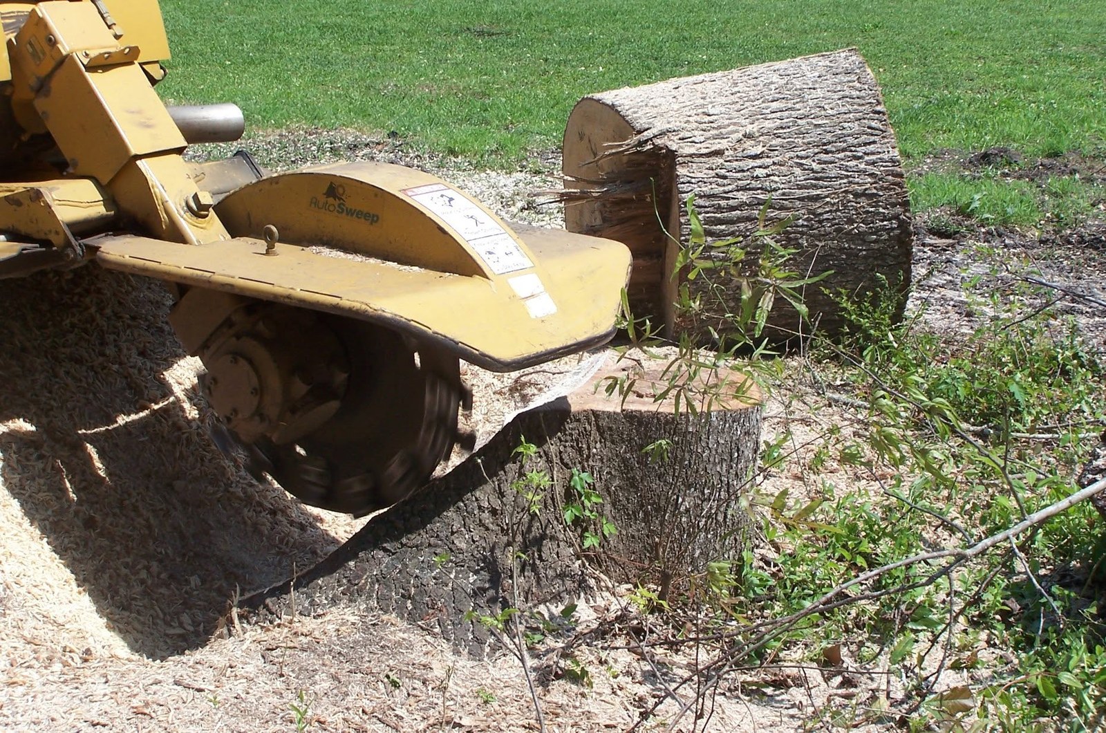 Homeowner stump grinding