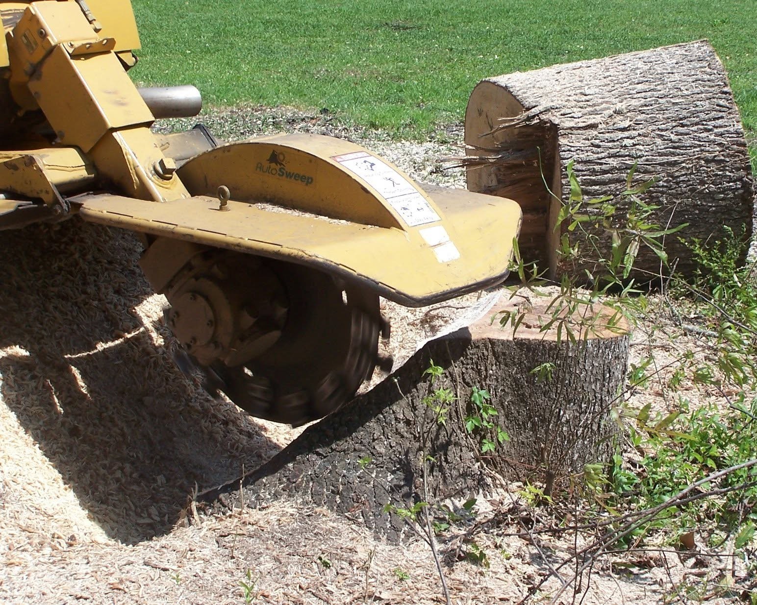 Contractor stump grinding