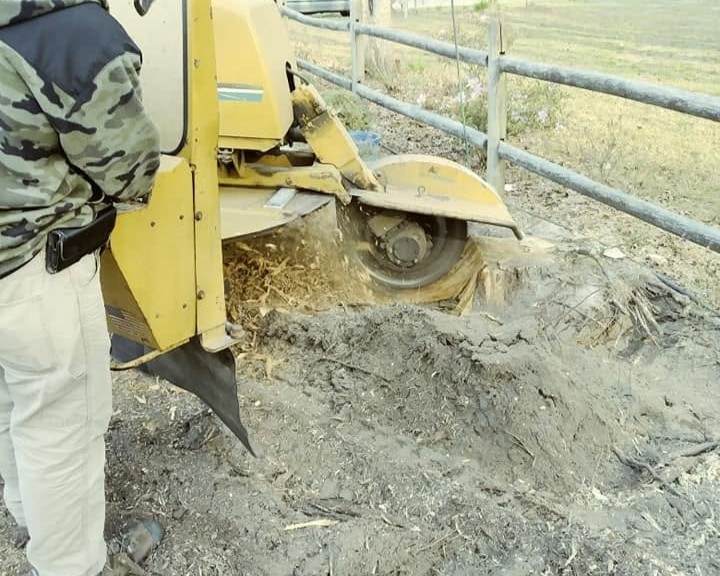 Stump grinder at work in a yard