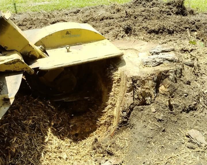 Grinder working a stump in a lawn