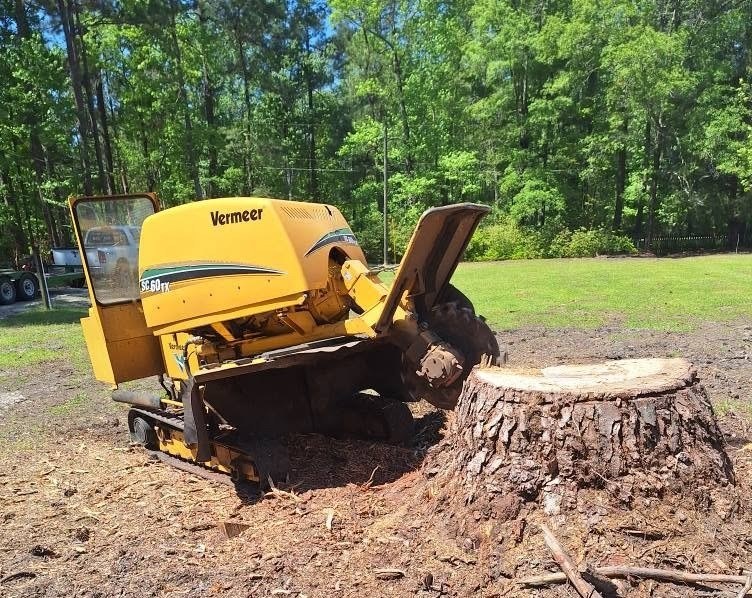Stump grinder clearing a yard stump