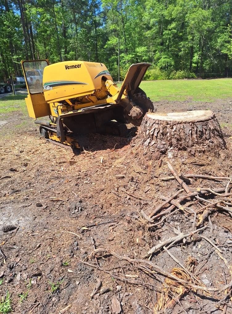 Stump grinder on a work site