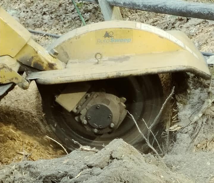 Stump grinder working near a property